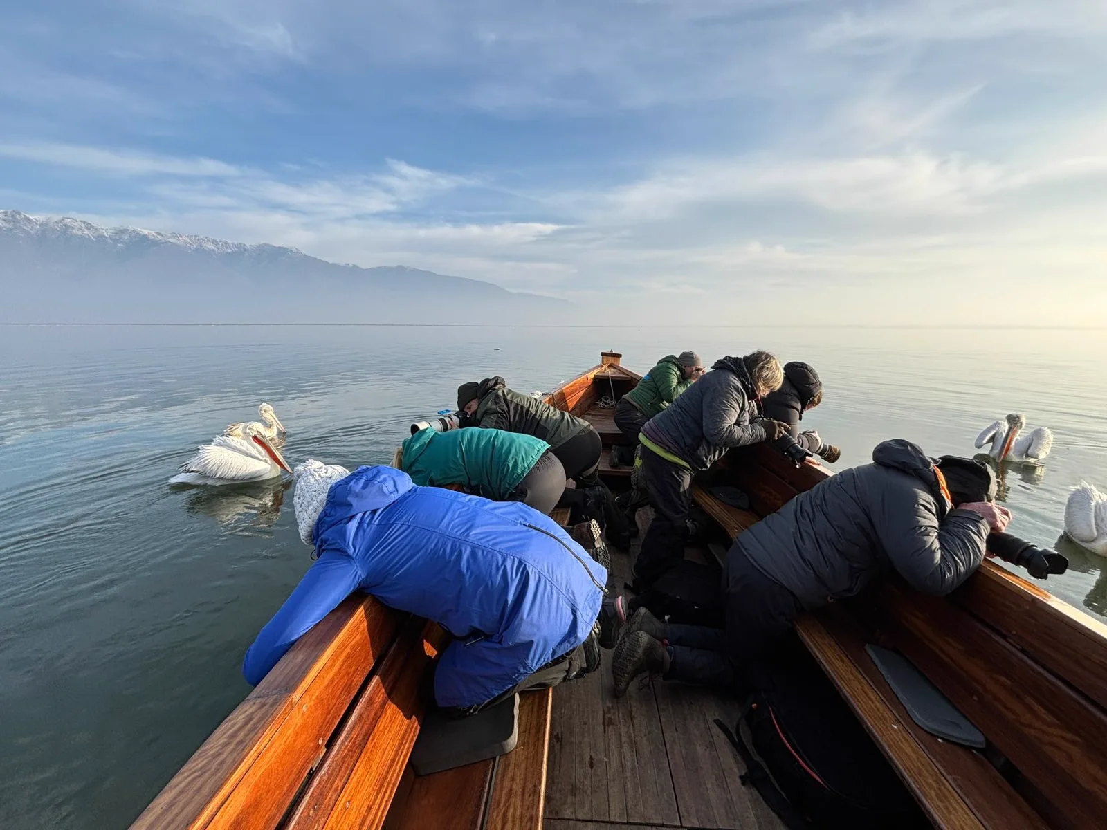 Φωτογράφοι στη βάρκα τραβούν αργυροπελεκάνους, με χιονισμένα βουνά στο βάθος